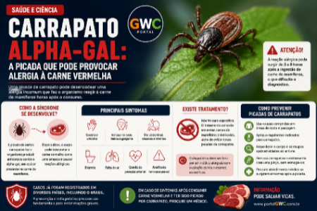 PORTAL GWC I Grupo Web de Comunicação
