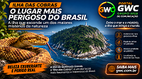 PORTAL GWC I Grupo Web de Comunicação I Ilha da cobra