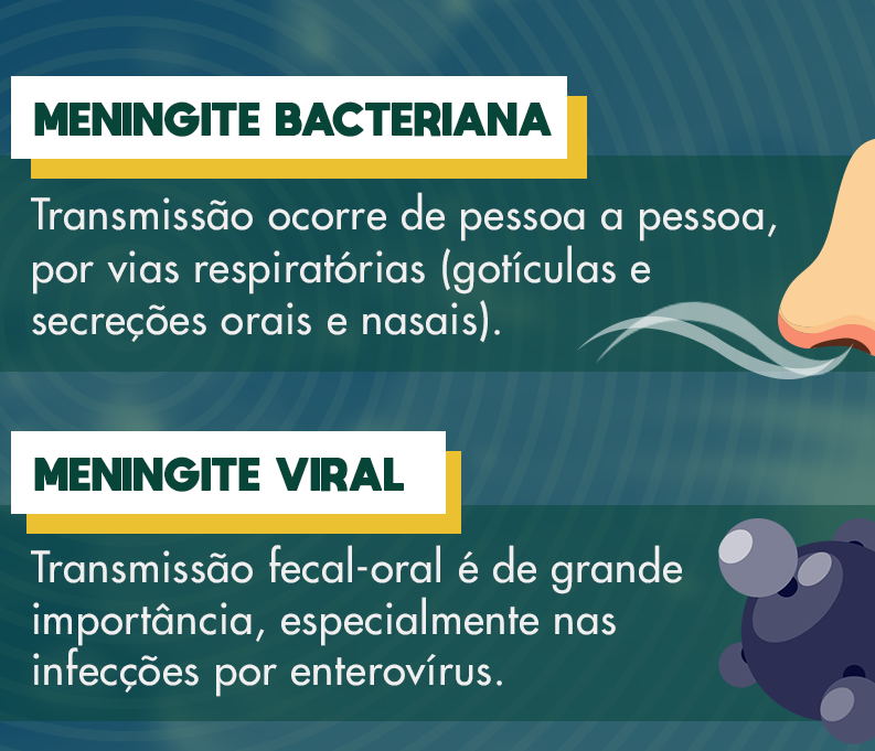 PORTAL GWC I Grupo Web de Comunicação I Posocco